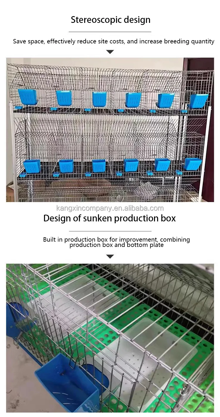 High Efficiency Breeding House Attached Nest Box And 40 Rabbit Cages