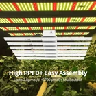 Grow Led Light Plant SHI LIAN Lm301h 1000W Bestva Indoor Hydroponic Plant Led Grow Light