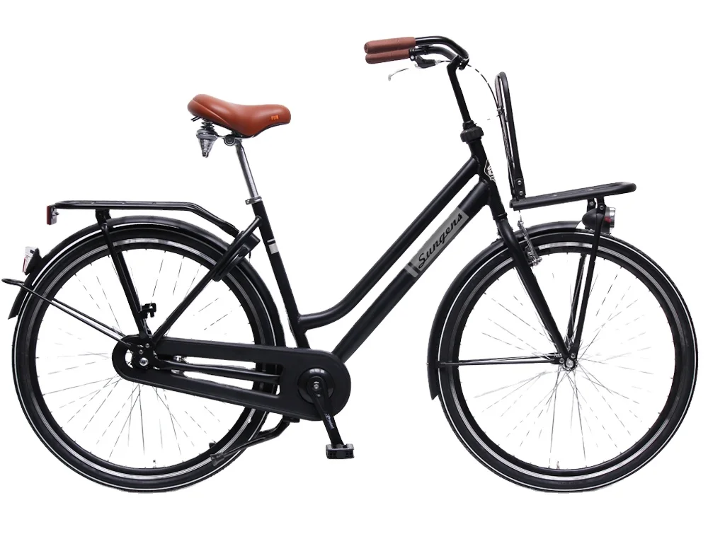 Dutch Classic Cargo Bike/cargo City 