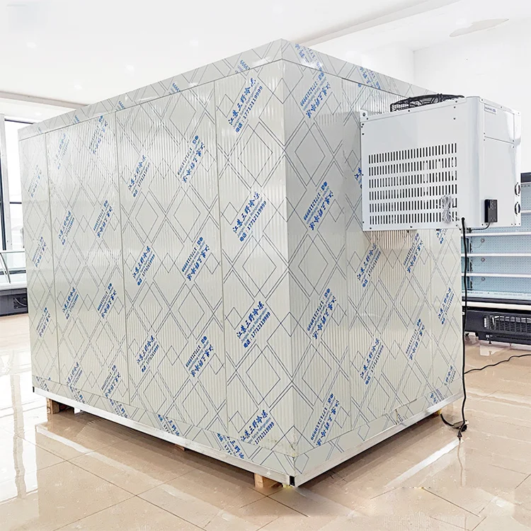 Freezing Chamber Froide Freezer, 220v, > 1000W - detail 8