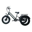 Electric 48V 500W 750W Household Food Delivery Foldable Fat Tire Electric Bicycle 3 Wheels