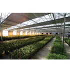 Agricultural Steel Frame Production Qualified Agricultural Light Deprivation Greenhouse