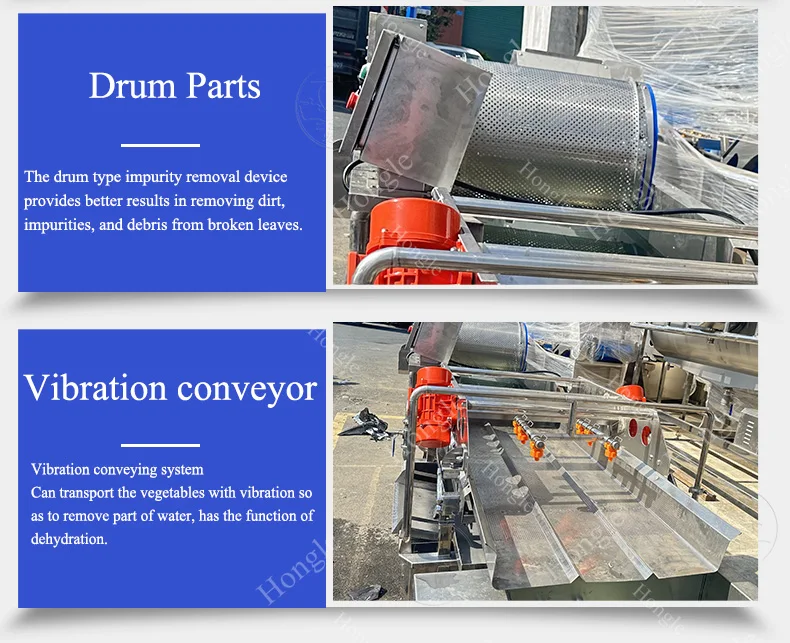 Automatic French Fries Washing Machine for Vegetables Drying Function-Cleaning Red Chilli Stone Dust Vortex Fruit Mushroom Ozone manufacture