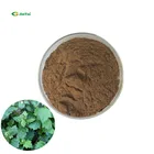 Pure Turkesterone Decumbent Bugle Herb Extract 10% 40% Buy 100% Pure Natural Turkesterone Powder