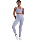 Clothing Online Wholesale Eco Friendly Gym Fitness Clothing Women Yoga Sets