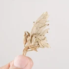 Natural Factory Wholesale Pure Natural Health Plant Wormwood Herb For Antirheumatic/Improve Body