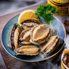 Abalone Shell Abalone Captain Jiang Frozen Abalone In Shell