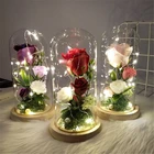 Wholesale Valentine Day Gifts Preserved Rose Forever Flowers LED Glass Cover Eternal Artificial Roses