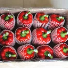 Pepper Redsweet Chinese Fresh Capsicum/Fresh Bell Pepper/sweet Pepper Yellow /red/green 8613953636519