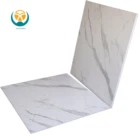 Plastic Wall Panels Stone Like 1000 Mm *10 Mm Plastic Interior Decoration Wall Panels