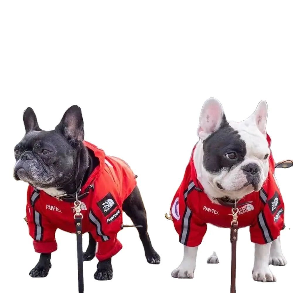cool dog jackets