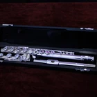 Instruments Factory Manufacture Various Student High Quality Musical Instruments