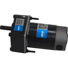Long DC Motor High Speed DM-06-3GN Extra Long 40W 12V-48V Promotional Various Durable Dc Motor