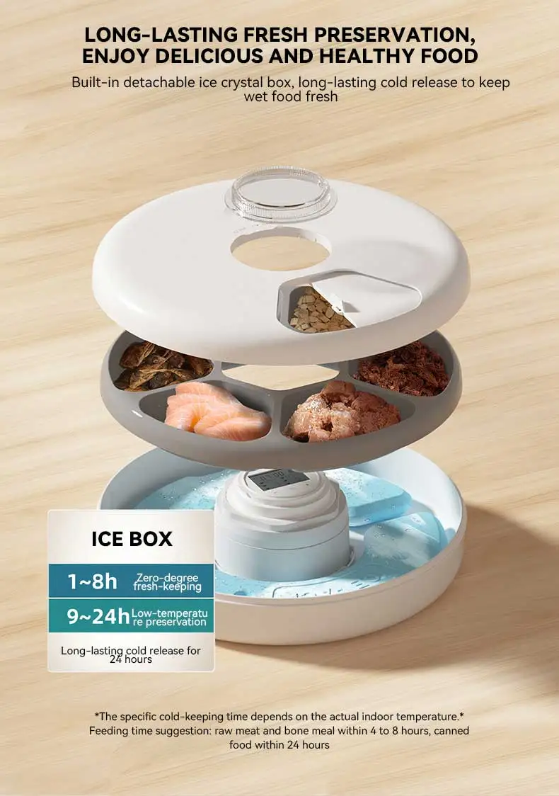 Hot Sale 6 Meal Pet Smart Feeder 24H Timing Cold Fresh Food Dispenser for Dogs and Cats Automatic Pet Feeding Supplies manufacture