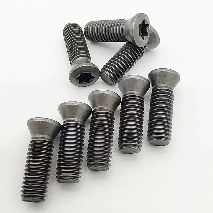 torx screw (1).jpg