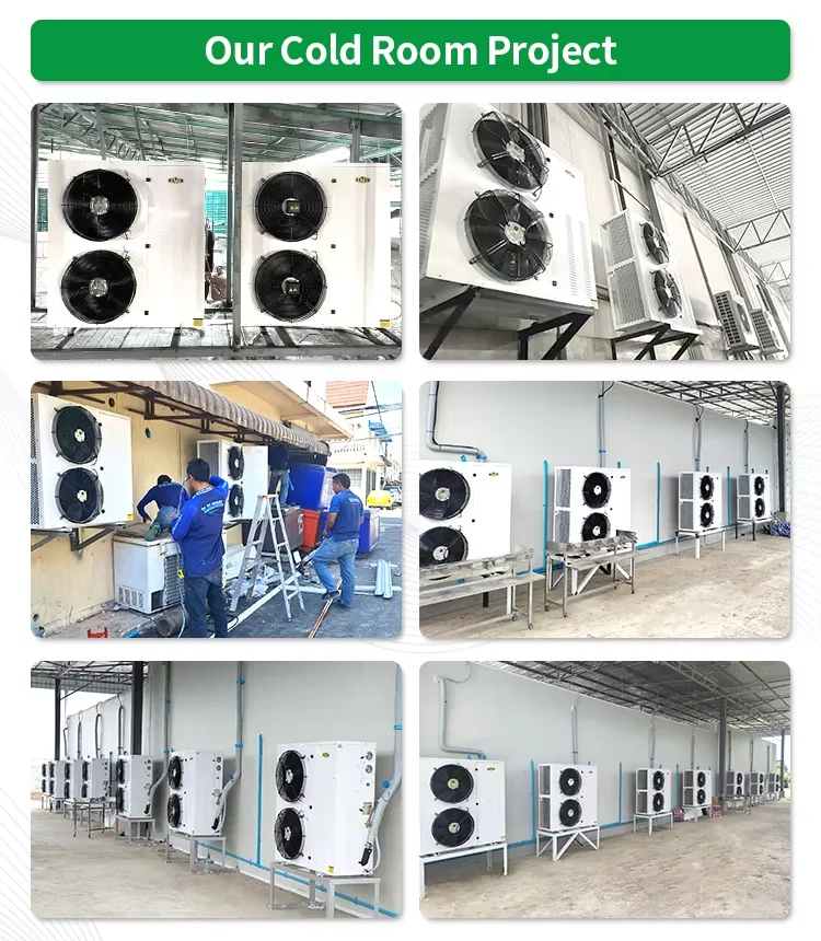 Condensing Unit, 380 V, -20degree - detail 16