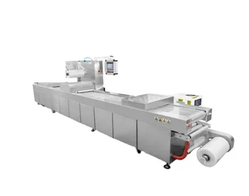 Wanhe DZL-420 food cheese meat sausage dates automatic thermoforming vacuum packaging machine rigid and flexible film with MAP g