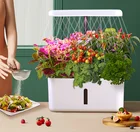 Home 2022 Hot Style Smart Garden Home Indoor 3L Fiberglass Vegetable Planters Box Self Watering Flower Pot
