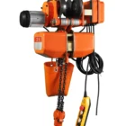 Hoist Electric Hoist 1 Ton Electric Chain Hoist Winch Cranes With Trolley Manufacturer