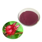 Health Care Product Top Quality Roselle Powder Hibiscus Flower Powder