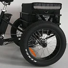 Trike Tricycle Tricycle Electric Bike Electric Trike Cargo Ebike Electric Fat Bike Electric Tricycle