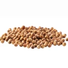 Wood Beads Loose Most Popular Workable Price Cliff Wood Beads Jewelry Making DIY Beads Loose Wooden Beads