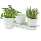 Planters Planter Pot Set Of 3 Galvanized Flower Or Herb Pot Set With Tray Garden Planters