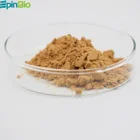 Green Factory Supply Green Coffee Bean Extract Chlorogenic Acid 60%