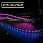 Decoration Colorful Led Light With Home Decoration Lamp Colorful Lamps Home Decor Waterproof LED Neon Light Lights//