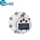 Diesel Fuel Gasoline Meter Explosion-proof Gasoline Diesel Fuel Oil Micro Oval Gear Flow Meter Sensor
