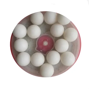1 1/2'' (38.1mm) Delrin Polyoxymethylene (POM) Solid Plastic Bearing Balls