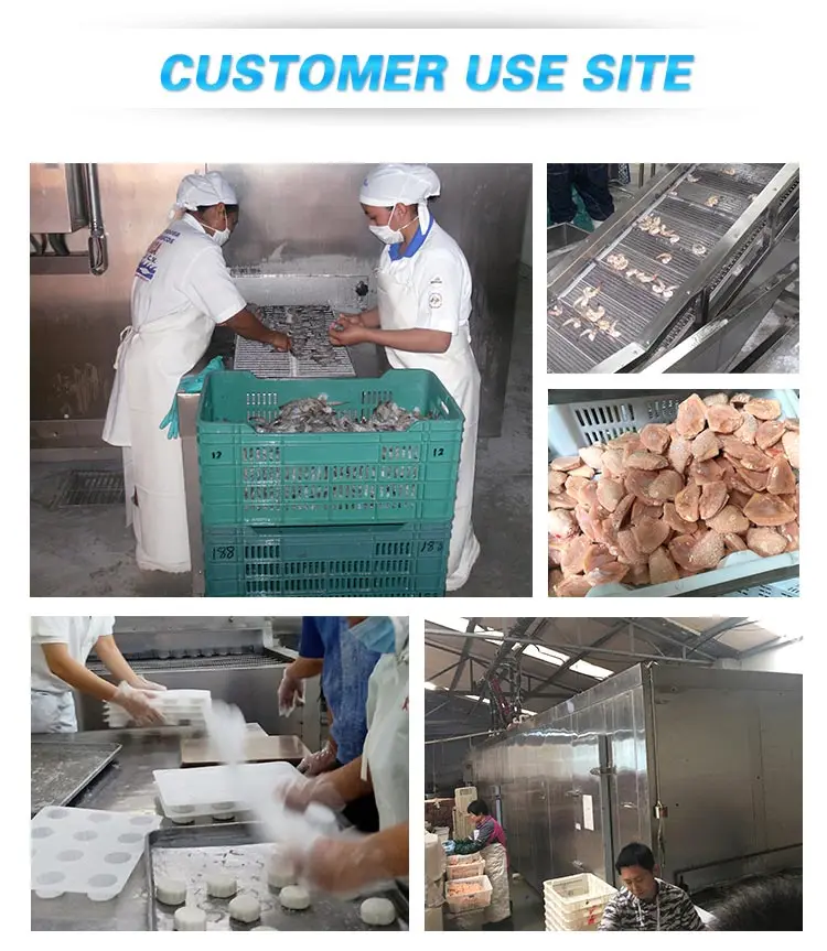 Quick Freezing Small Freezer, TCA, Stainless, Steel - detail 8