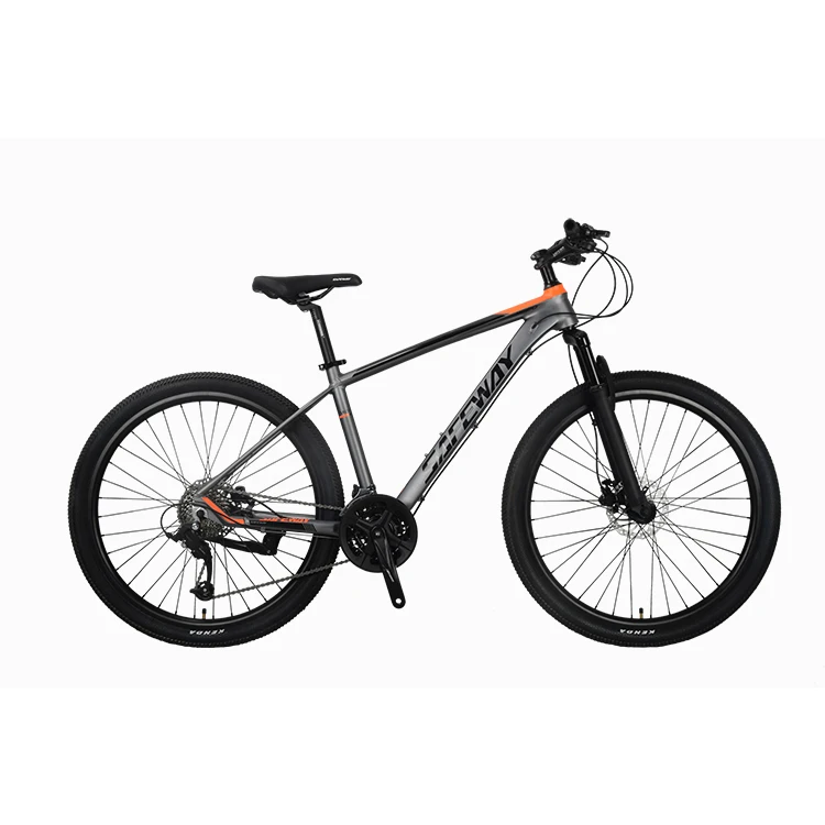Safeway Mountainbike Chinese Cheap 26 