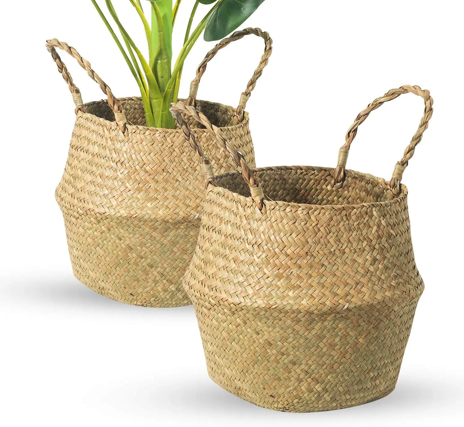 Seagrass Belly Basket, Set of 2 Woven Plant Pot Holder handmade Home Decor for Storage Plants Picnic Grocery Medium