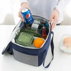 Cooler Wholesale Aluminuum Foil Waxed Tote Zipper Capacity Work Blue Oxford 600d 2 Person Cooler Bag For Food