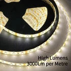 Warm Light Led Strip Australia Hot Sale 10m/roll 2835 Smd Warm White 3000K LED Lights Strip With Adapter