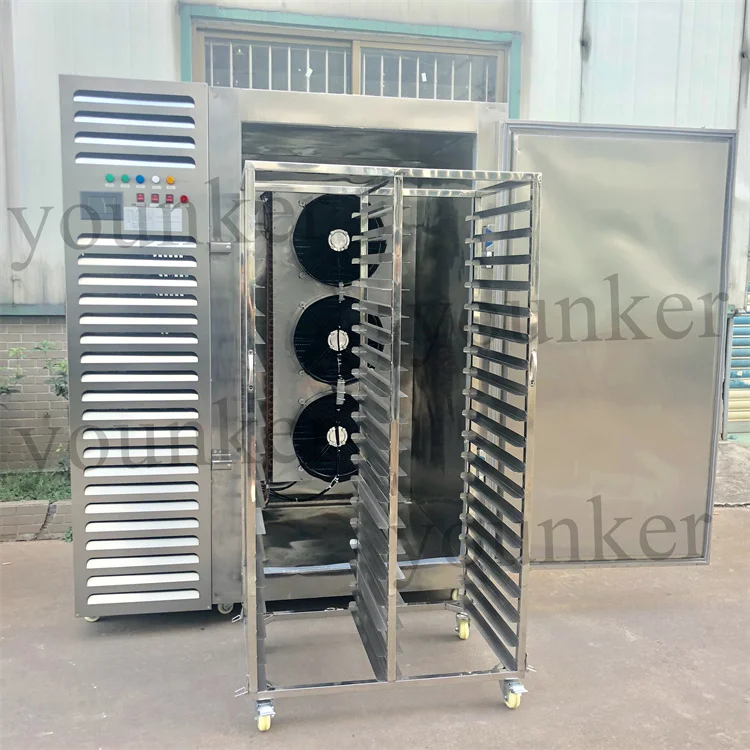 Fast Shock Blast Chiller, Stainless, Steel - detail 22