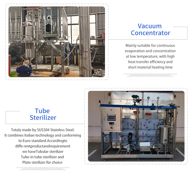 A29 Small Concentrate Tomato Paste Ketchup Making Packing Machine Production Line Tomato Sauce Processing Line factory