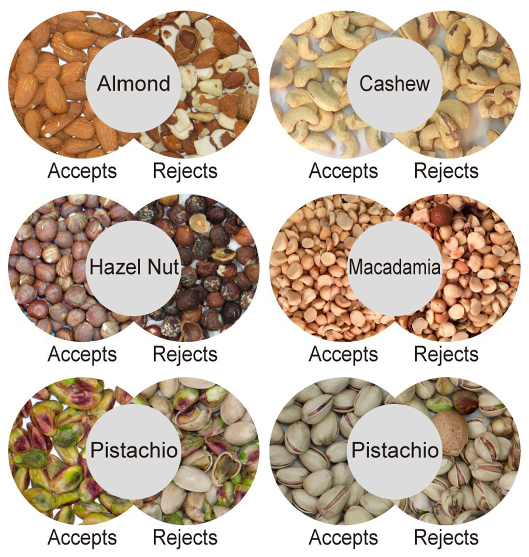 WENYAO Peanut Macadamia Pistachio Grading Machine Functional Color Sorter for Nuts Blueberry Coffee Cherry Available for Sale 2