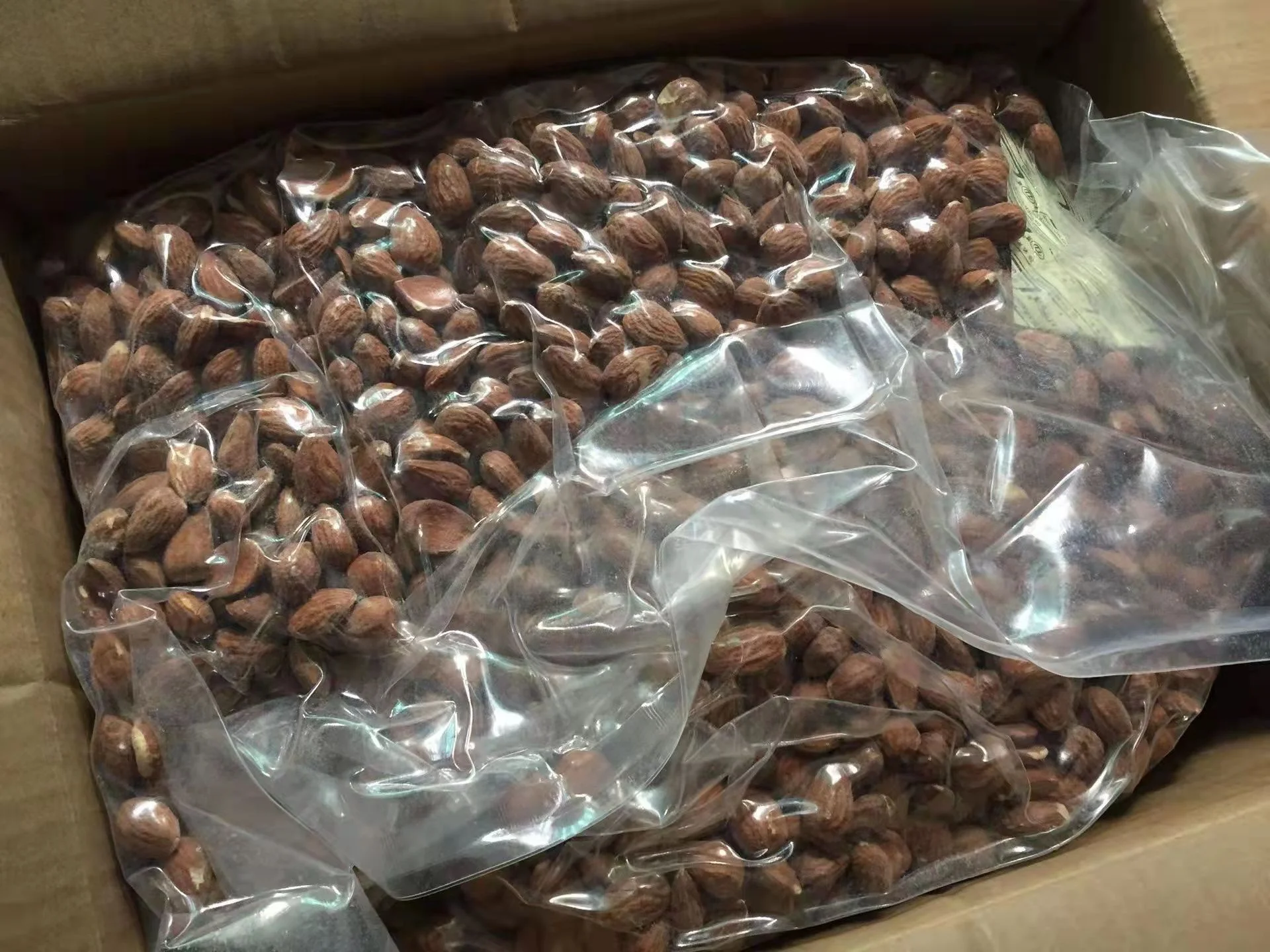 Organic Unshelled Roasted Almonds Freshly Picked Sweet Almond Nuts Hot Sale Food Grade Bulk Export Raw Almonds Natural Color