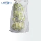 Cover 3% UV PP Non Woven Protection Banana Cover Bag In 17gr White Color