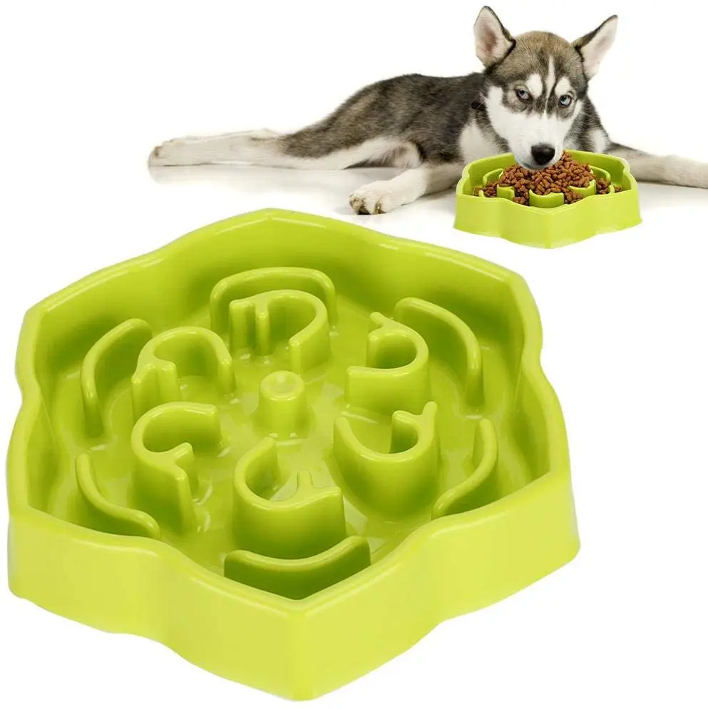 labyrinth dog bowl