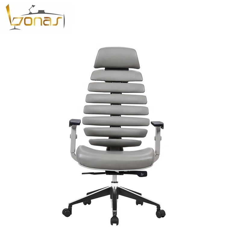 ergonomic spine chair