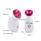 Sauna Sauna Spa Steamer Private Label Nano Warm Mist Ionic Facial Steamer With Logo