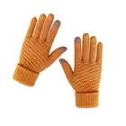 Winter Gloves Thicken Plus Cashmere Warm Touch Screen Imitation Cashmere Lovers Women Winter Gloves
