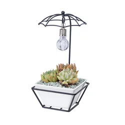 Modern Umbrella Shape Bulb Lamp White Light Succulent Ceramic Pot Gold Metal Flower Planter Pot Flower Pots & Planters