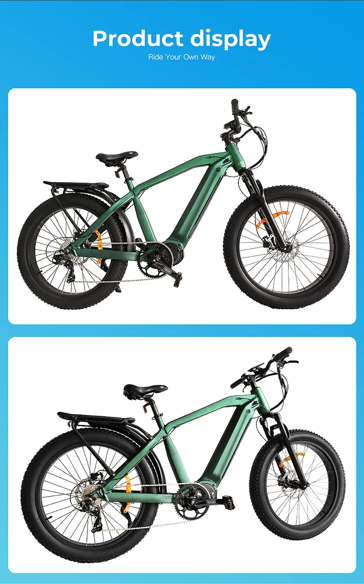 ebike1