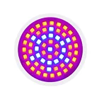 Led Led Amazon Top Seller 60 Beads 2835 6W E27 Waterproof Plants LED Grow Light Bulb For Greenhouse Hydroponic