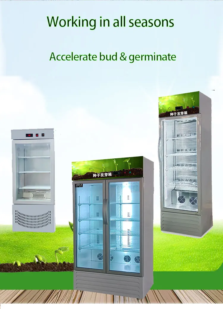 Automatic Germination/Barley Wheat Seeds Germinating Machine/Fodder Sprouting Machine Pasen Machine for Seeds Germ manufacture
