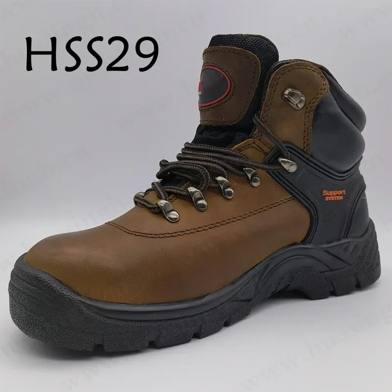 HSS29